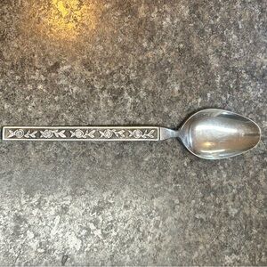 VTG Interpur Mexicaly Rose Stainless Steel Flatware Spoon